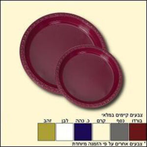 צלחת חד"פ מס' 7 צבעוני 25 יח'